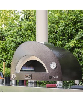 One gas Wood Ovens