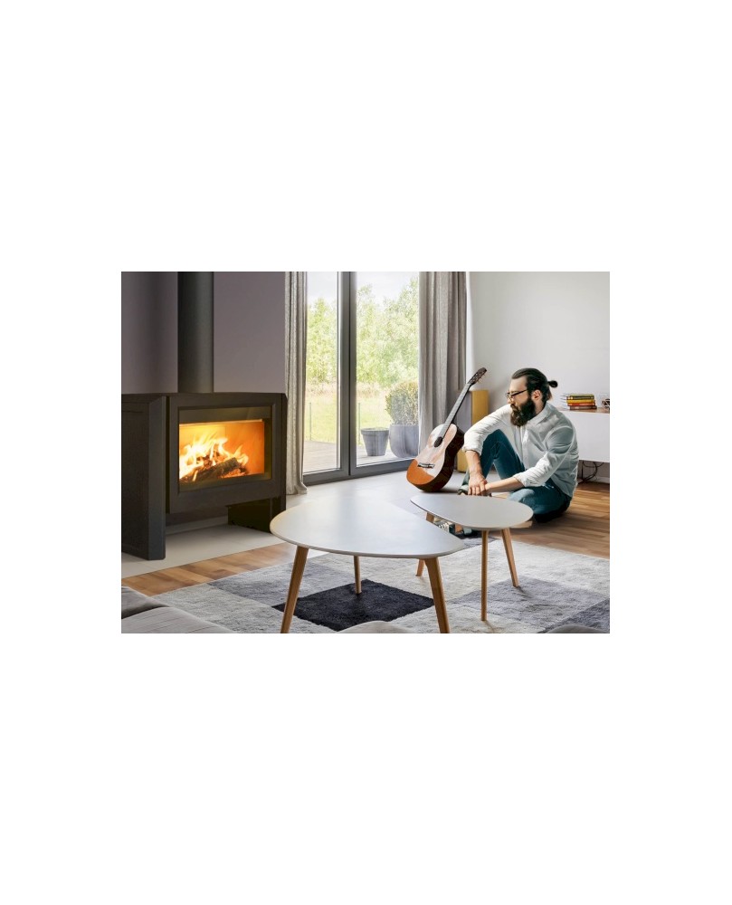 Estufa León Estufes Lacunza